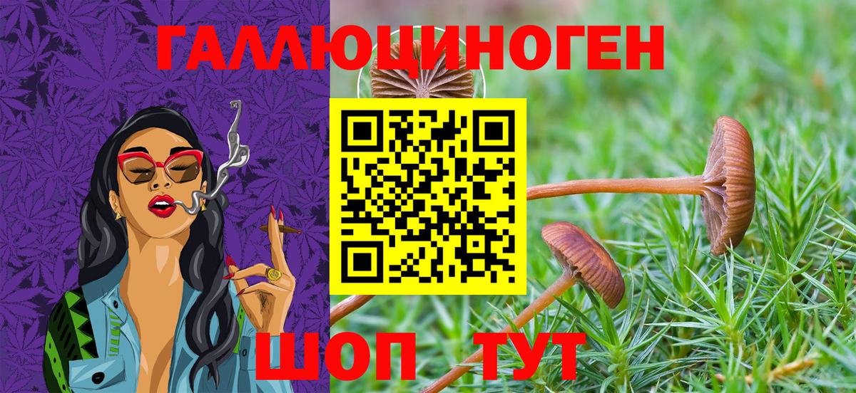 Галлюциногенные грибы прущие грибы Тулун